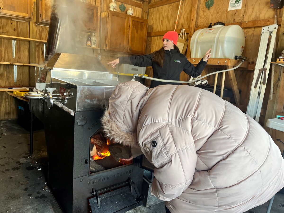 Maple Syrup Demo 